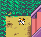 screenshots/Game Boy Color/Hamtaro - Ham-Hams Unite!/Hamtaro - Ham-Hams Unite! (Eng) 009.png